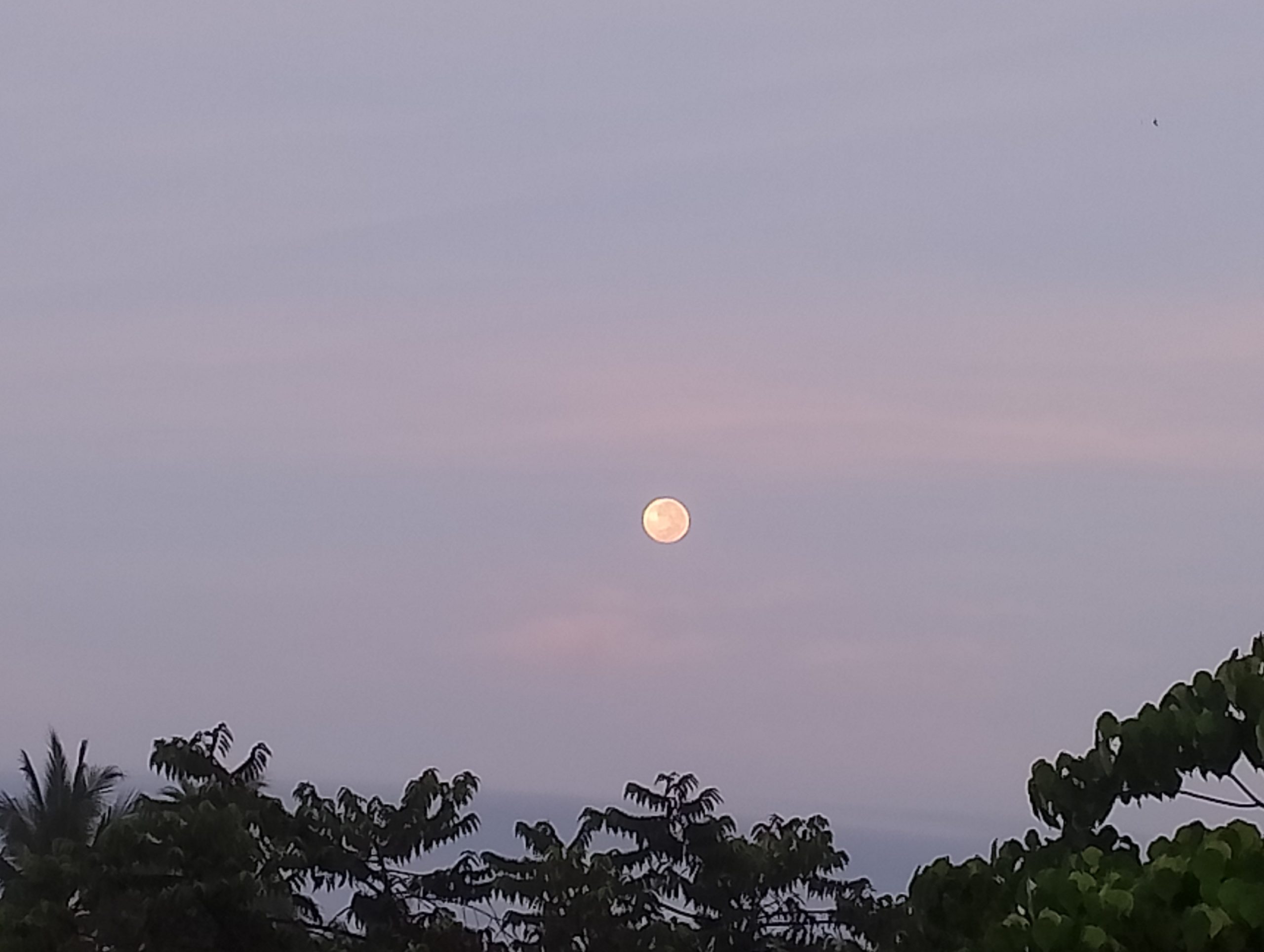 Scientists Say the Moon May Have Been Captured, Not Created
