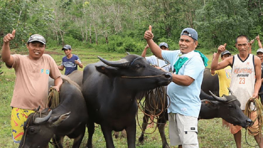 Zamboanga Sibugay Farmers Get P2.4M Carabao Multiplier Farm From DA