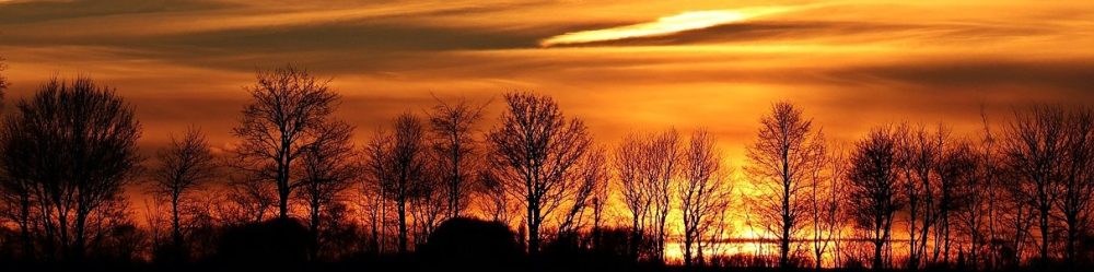 Header Image