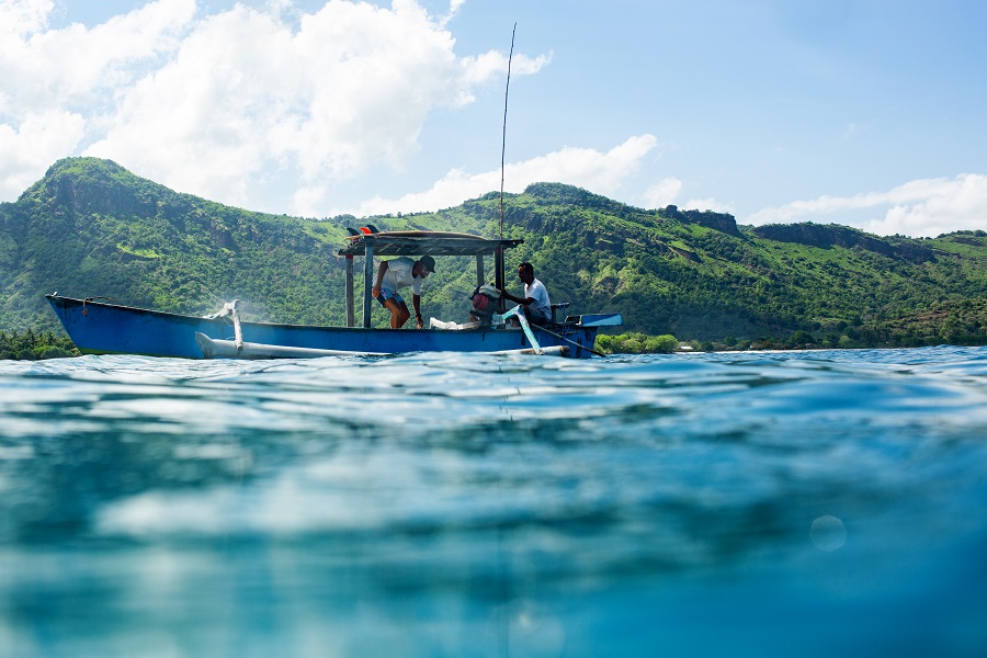 Oceana Accuses BFAR of ‘Betrayal’ Over Supreme Court Ruling Favoring Commercial Fishing