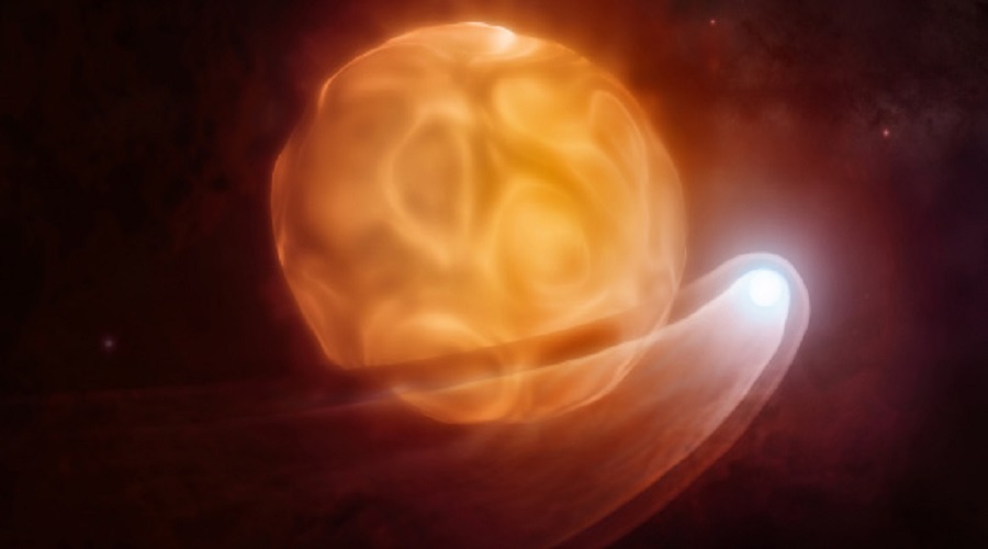 betelgeuse companion